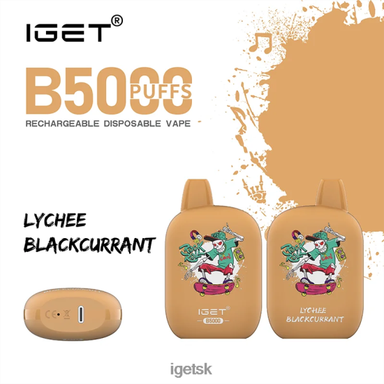 IGET Vape Sale - b5000 LR6L68309 liči čierne ríbezle